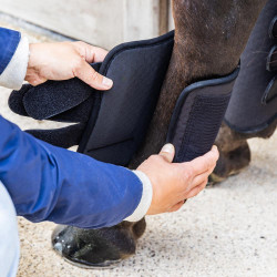 Crossbeschermers Kentucky 3D Air Flow Achterbenen Zwart Crossbeschermers Kentucky 3D Air Flow Achterbenen Zwart