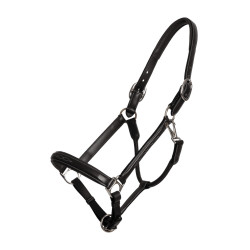 Fancy halster Dy'on Zwart