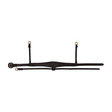 Anatomische speciale FEI-neusriem Dy'on Zwart