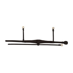 Anatomische speciale FEI-neusriem Dy'on Zwart