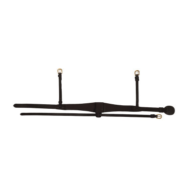 Anatomische speciale FEI-neusriem Dy'on Zwart