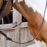 Dy'on rubber teugels 1/2 met 7 geïntegreerde stoppers Bruin Dy'on rubber teugels 1/2 met 7 geïntegreerde stoppers Bruin