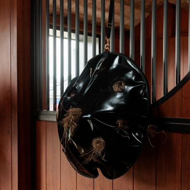 Hooinet Play & Slowfeeder Rond Grooming Deluxe van Kentucky Zwart