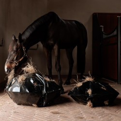 Hooinet Play & Slowfeeder Rond Grooming Deluxe van Kentucky Zwart