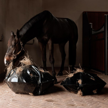 Hooinet Play & Slowfeeder Rond Grooming Deluxe van Kentucky Zwart