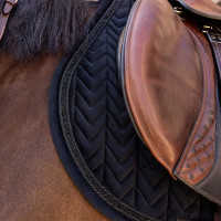 Kentucky Velvet Mini Pearls springzadelpad Zwart