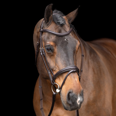 Bridon HV Polo Legacy Chocoladebruin Bridon HV Polo Legacy Chocoladebruin