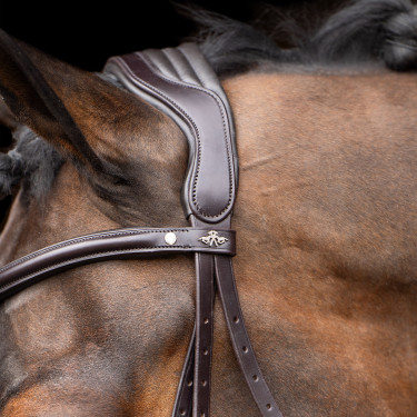 Bridon HV Polo Legacy Chocoladebruin Bridon HV Polo Legacy Chocoladebruin