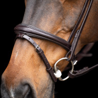 Bridon HV Polo Legacy Chocoladebruin
