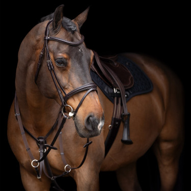 Martingaal HV Polo Legacy Chocoladebruin Martingaal HV Polo Legacy Chocoladebruin