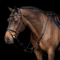 Martingaal HV Polo Legacy Chocoladebruin Martingaal HV Polo Legacy Chocoladebruin