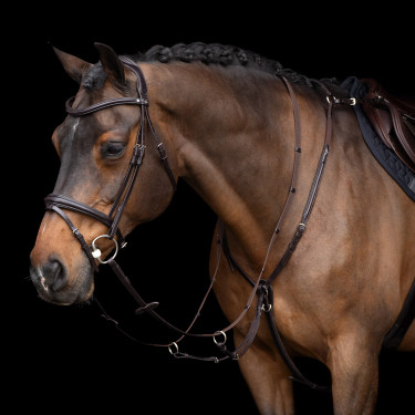 Martingaal HV Polo Legacy Chocoladebruin Martingaal HV Polo Legacy Chocoladebruin