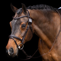 HV Polo Legacy hoofdstelnummer Chocoladebruin