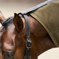 Fleecedeken met hals Imperial Riding Fundamental Olijfgroen Fleecedeken met hals Imperial Riding Fundamental Olijfgroen