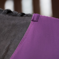 Fleece deken Imperial Riding Fundamental Vijg Violet