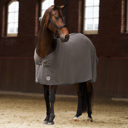 Fleece deken Imperial Riding Fundamental Basic Grijs