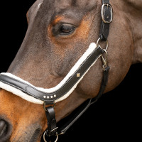 Halster Imperial Riding Luxury Zwart