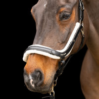 Halster Imperial Riding Luxury Zwart