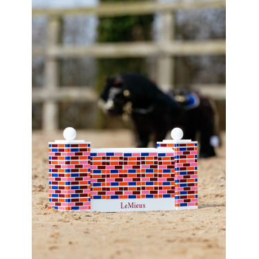 LeMieux Toy Pony hoogtesprong-obstakel Multi Multicolor
