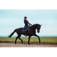 Polo-bandages Equestrian Stockholm Helemaal zwart glanzend