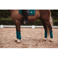 Polo-bandages Equestrian Stockholm Helemaal zwart glanzend