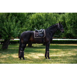 Polo-bandages Equestrian Stockholm Goudbruin