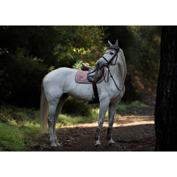 Antivliegen-oornetje Equestrian Stockholm Stofroze