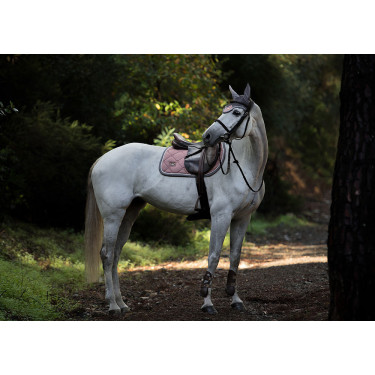 Antivliegen-oornetje Equestrian Stockholm Stofroze