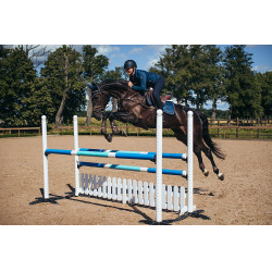 Antivliegen-oornetje Equestrian Stockholm Monaco blauw