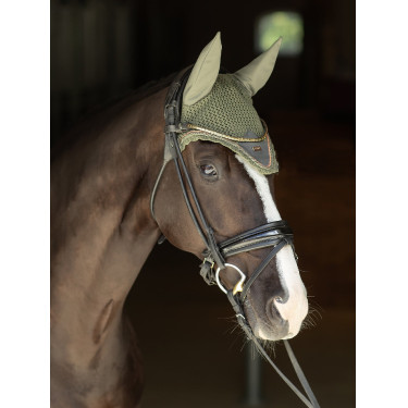 Antivliegen-oornetje Equestrian Stockholm Opvallende vallei