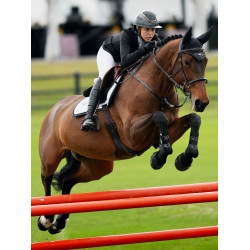 Anti-vliegensjabrak Equestrian Stockholm met geluiddemping Donker oceaan Marineblauw