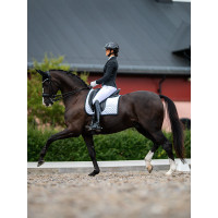 Anti-vliegensjabrak Equestrian Stockholm met geluiddemping Zwart