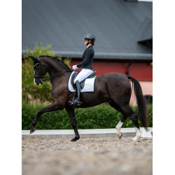 Anti-vliegensjabrak Equestrian Stockholm met geluiddemping Zwart