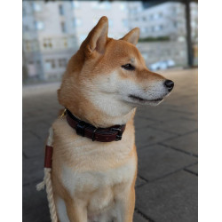 Hondenhalsband Equestrian Stockholm clean Eindeloze gloed