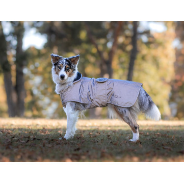 Honden deken Equestrian Stockholm Reflective Glanzend zwart Honden deken Equestrian Stockholm Reflective Glanzend zwart