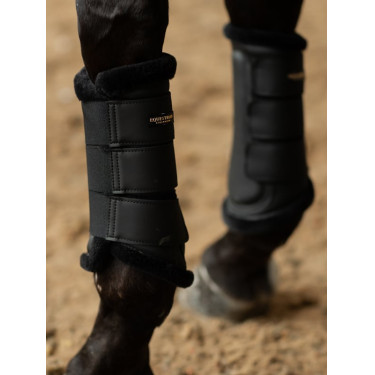 Dressuurbeschermers Equestrian Stockholm Goudzwart