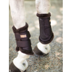 Dressuurbeschermers Equestrian Stockholm Maanloze nacht Bruin