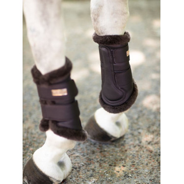 Dressuurbeschermers Equestrian Stockholm Maanloze nacht Bruin
