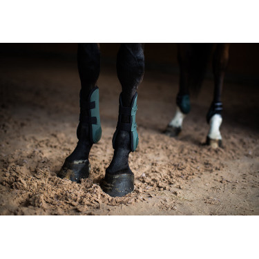 Equestrian Stockholm anatomische peesbeschermers Sycomoregroen