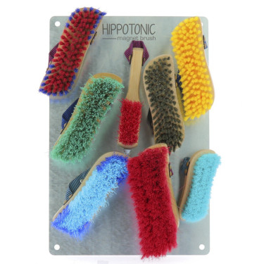 Hippo-Tonic Magnet Brush Plaque Hippo-Tonic Magnet Brush Plaque