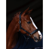 Equestrian Stockholm anatomisch glinsterend lederen halster Full kastanjebruin