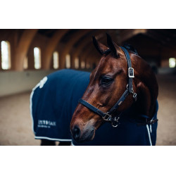 Lederen halster en lijn Equestrian Stockholm met ketting Marine Marineblauw