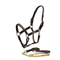 Lederen halster en lijn Equestrian Stockholm met ketting Zweedse natie Lederen halster en lijn Equestrian Stockholm met ketting Zweedse natie