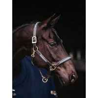 Lederen halster en lijn Equestrian Stockholm met ketting Marine Marineblauw