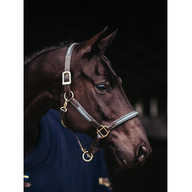 Lederen halster en lijn Equestrian Stockholm met ketting Zweedse natie Lederen halster en lijn Equestrian Stockholm met ketting Zweedse natie