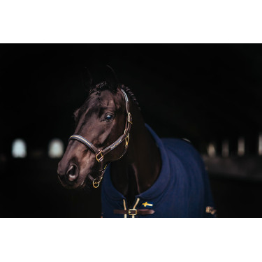 Lederen halster en lijn Equestrian Stockholm met ketting Zweedse natie Lederen halster en lijn Equestrian Stockholm met ketting Zweedse natie
