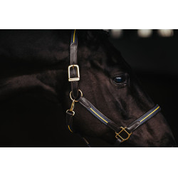 Lederen halster en lijn Equestrian Stockholm met ketting Zweedse natie Lederen halster en lijn Equestrian Stockholm met ketting Zweedse natie