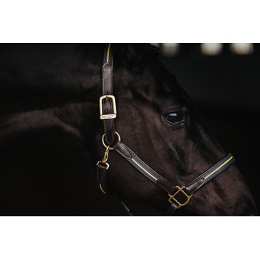 Lederen halster en lijn Equestrian Stockholm met ketting Zweedse natie Lederen halster en lijn Equestrian Stockholm met ketting Zweedse natie