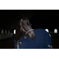 Lederen halster en lijn Equestrian Stockholm met ketting Zweedse natie Lederen halster en lijn Equestrian Stockholm met ketting Zweedse natie