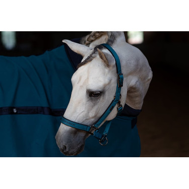 Halster en lijn Equestrian Stockholm Aurora-blauw Halster en lijn Equestrian Stockholm Aurora-blauw